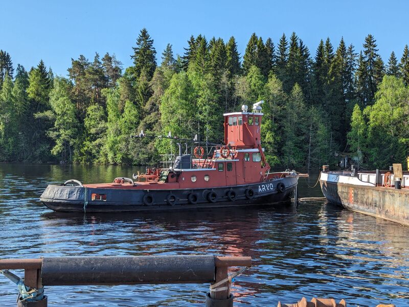 Hinaaja Arvo laiturissa kesällä