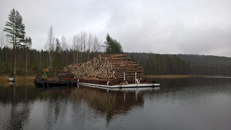 Proomu puutavarakuormassa tyynellä järvellä